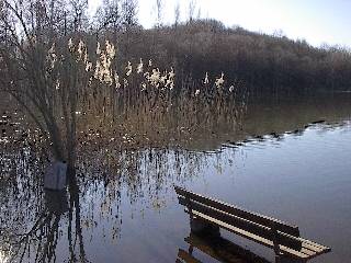 Digitalfoto - Morgenidylle am Anglerweiher