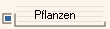 Pflanzen