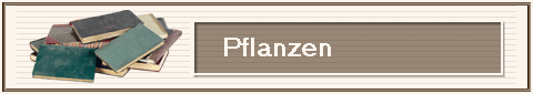 Pflanzen