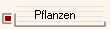Pflanzen
